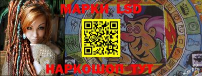 индика Камышлов