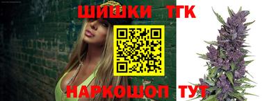 индика Камышлов