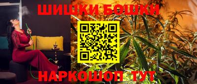 индика Камышлов