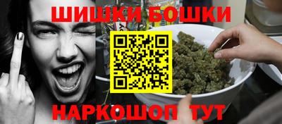 индика Камышлов