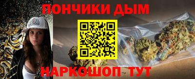 индика Камышлов