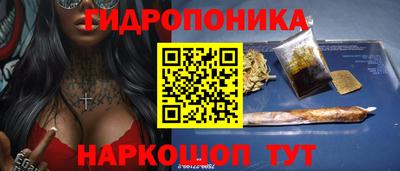 индика Камышлов