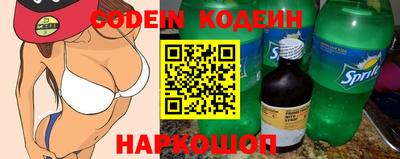 индика Камышлов
