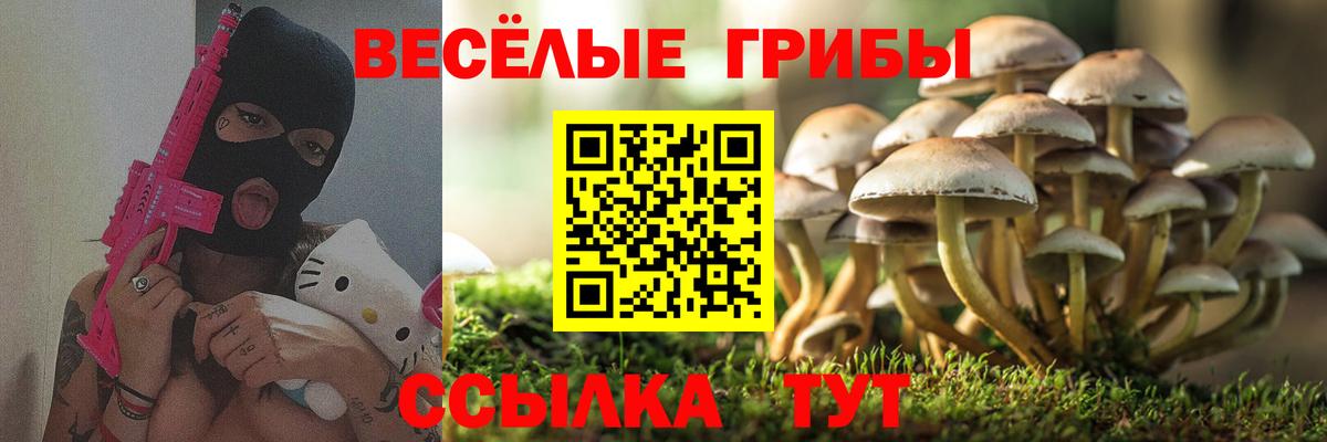 Междуреченск  Галлюциногенные грибы прущие грибы  Вход с VPN 